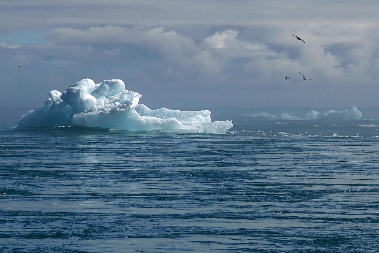 Climat et biodiversité : l’impact des changements climatiques sur les écosystèmes